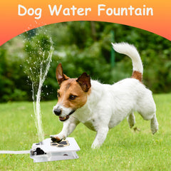 Step-on Dog Water Fountain