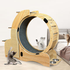 Cats  Running Wheel