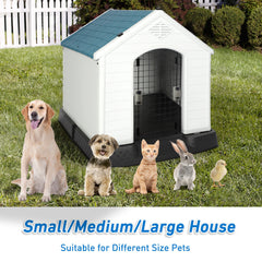 Outdoor Dog House