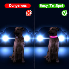 Light Up Dog Collar