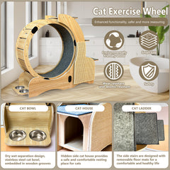 Cats  Running Wheel