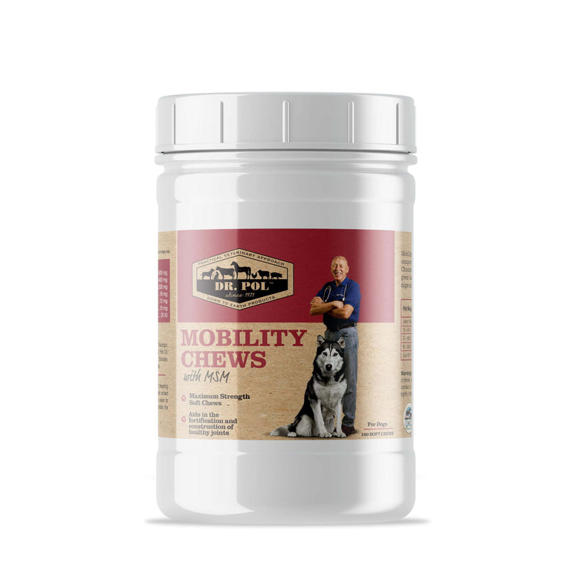 Mobility Chews with MSM - Glucosamine for Dogs