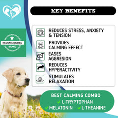 Hemp Calming Chews for Dogs