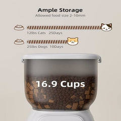 Automatic Pet Feeder