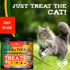 Flea and Tick Prevention Chewable