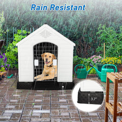 Outdoor Dog House