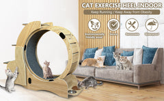 Cats  Running Wheel