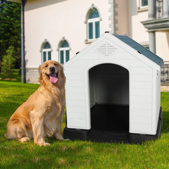 Outdoor Dog House