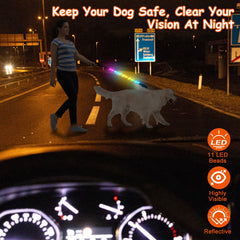 Light Up Dog Leash