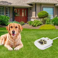 Step-on Dog Water Fountain