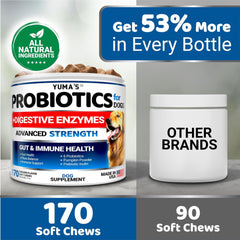 Probiotics and Digestive Enzymes