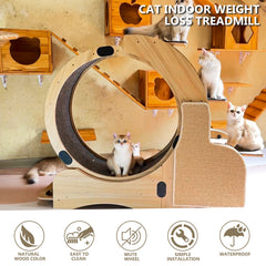 Cats  Running Wheel