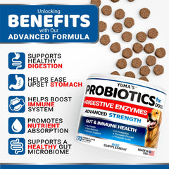 Probiotics and Digestive Enzymes