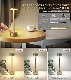 Modern Cordless Table Lamp